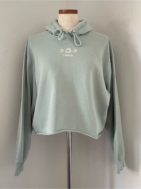 Acadamia Hollister Daisy Embroidered hoodie Sage Green Large preowned